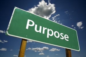 Purpose Consulting